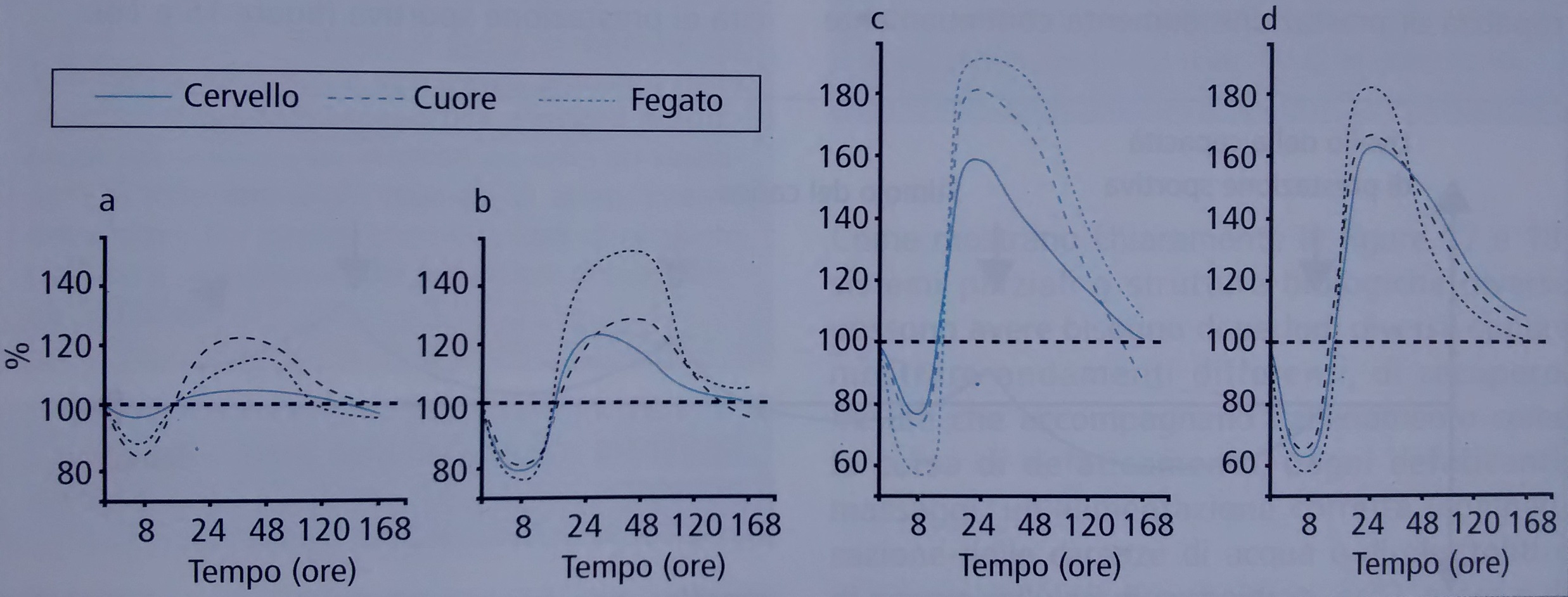 IMG_20151112_153650698