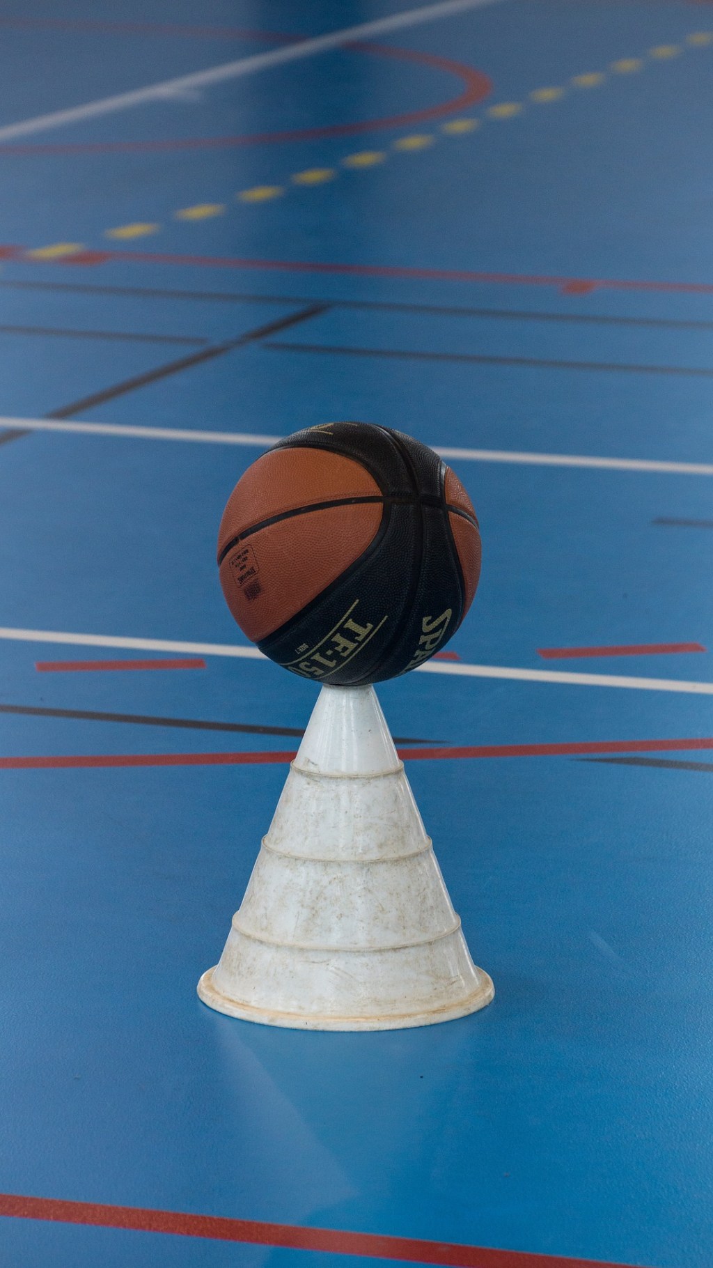 Preparazione atletica per i giocatori di basket diversamente&nbsp;abili