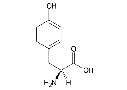 Amminoacido_tirosina_formula.svg