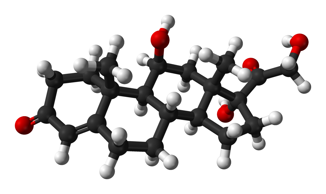 Cortisol-3D-balls.png