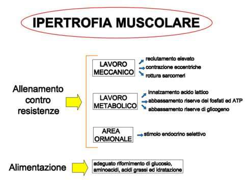 fb_img_1441274194200