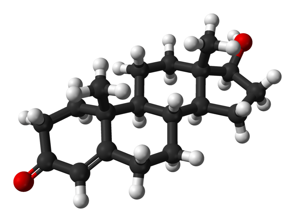 Testosterone-from-xtal-3D-balls
