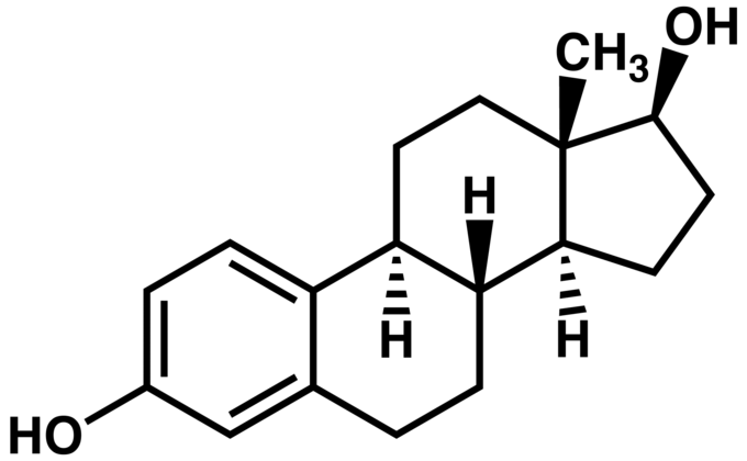 estradiol2
