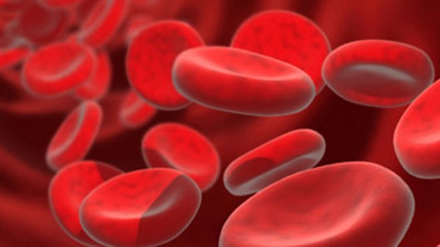 TYP-466793-3082397-globuli-rossi