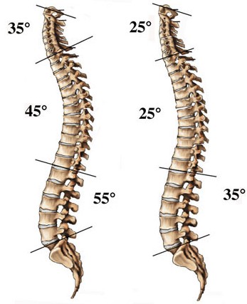 Articolazioni: le basi da&nbsp;conoscere