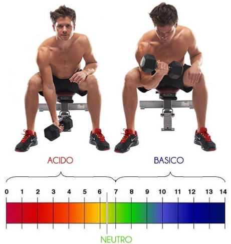 Acido lattico e&nbsp;metabolismo