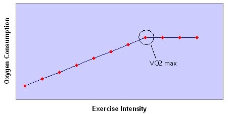 vo2max
