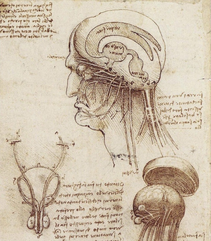 Cervello: istruzioni per&nbsp;l’uso