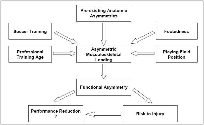 Le asimmetrie nel&nbsp;calcio
