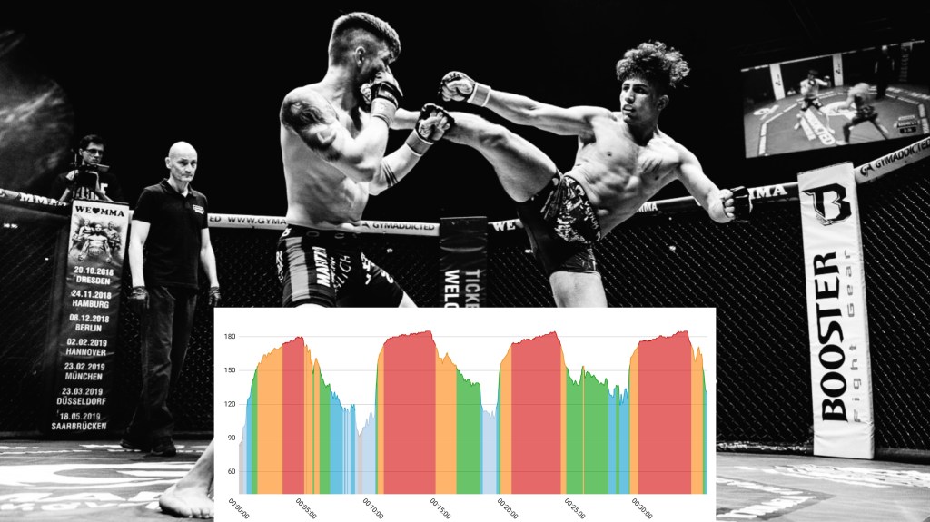 MMA/Grappling: scheda palestra (video-articolo)