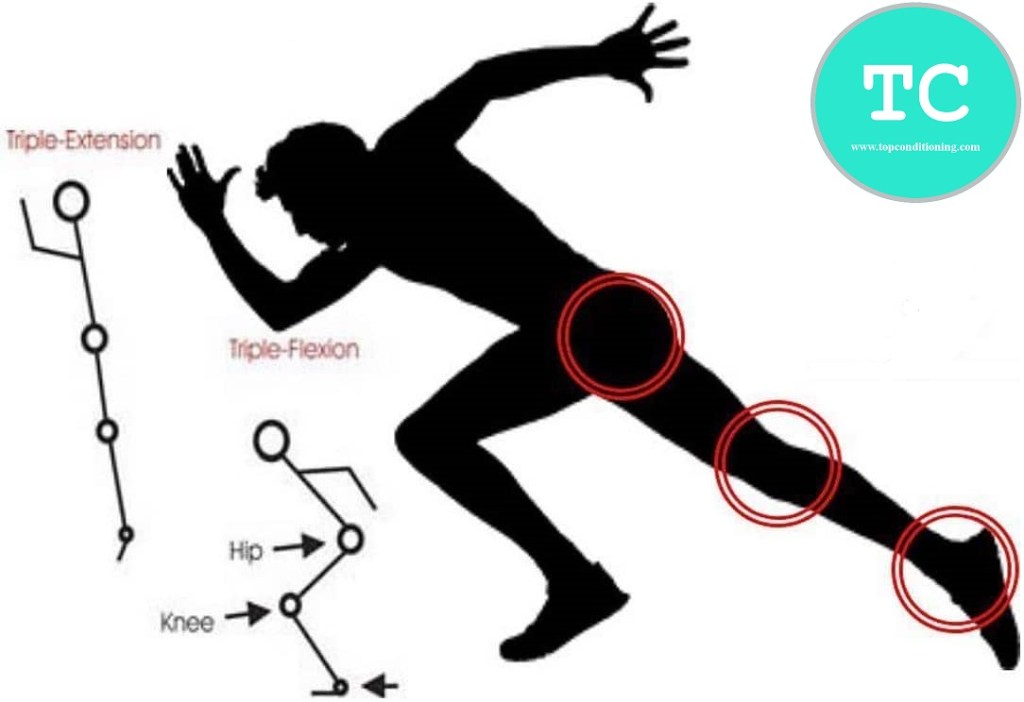 Tripla estensione: teoria e&nbsp;performance